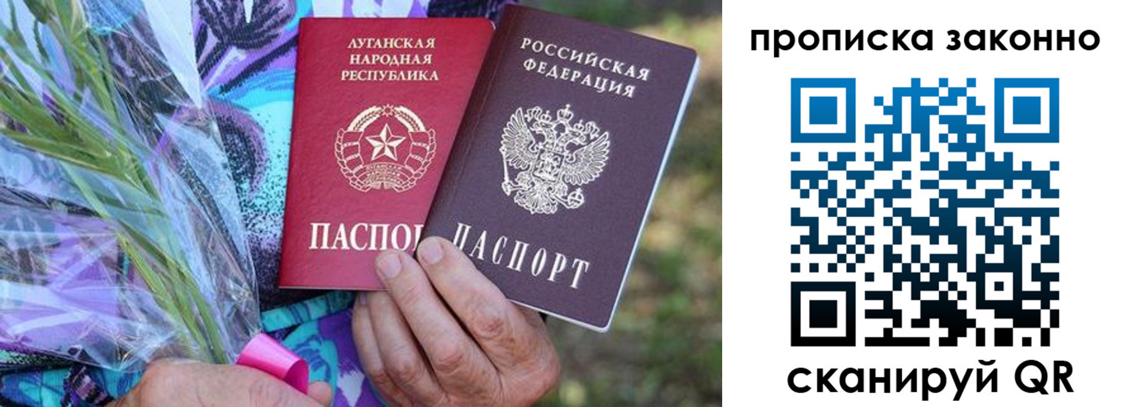 прописка для школы в Вязьме
